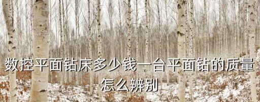 數(shù)控平面鉆床多少錢一臺平面鉆的質(zhì)量怎么辨別