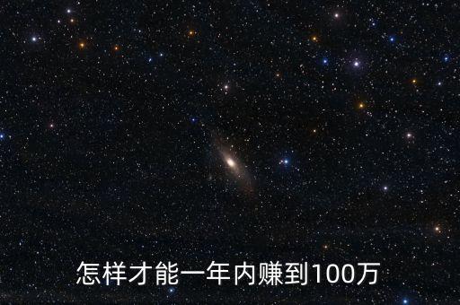 怎樣才能一年內(nèi)賺到100萬