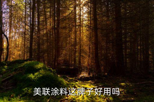 美聯(lián)涂料這牌子好用嗎