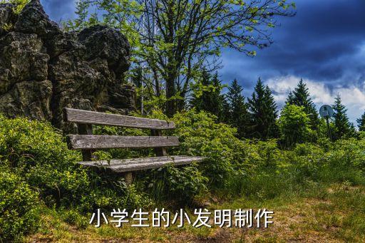 小學(xué)生的小發(fā)明制作