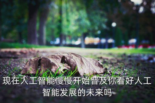 現(xiàn)在人工智能慢慢開始普及你看好人工智能發(fā)展的未來嗎