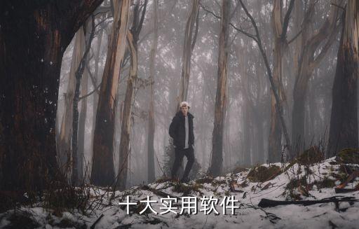 十大實用軟件