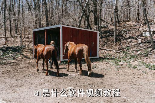 AI智能創(chuàng)作視頻小程序，ai是什么軟件視頻教程