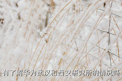 西安大數(shù)據(jù)與人工智能研究院，華為西安研究所在什么地方