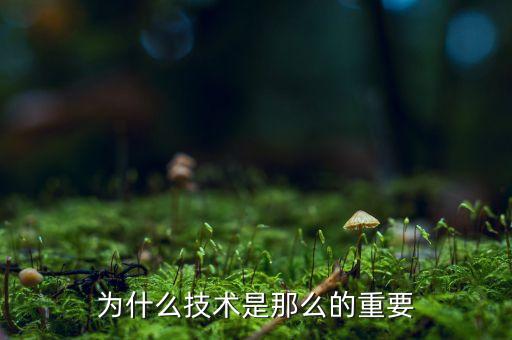 論技術(shù)的重要性，科學(xué)技術(shù)的重要作用
