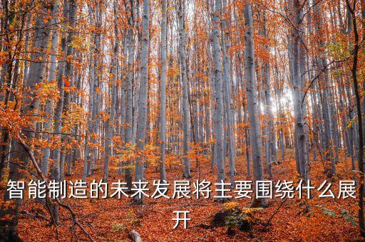 智能制造的未來發(fā)展將主要圍繞什么展開