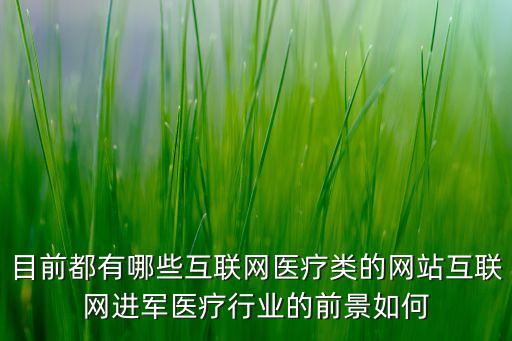 互聯(lián)網醫(yī)院平臺，現(xiàn)在主流的互聯(lián)網醫(yī)療平臺有哪些