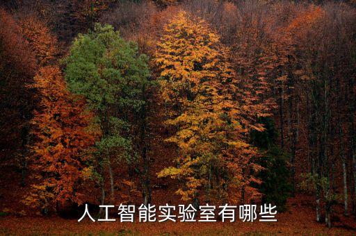 人工智能實(shí)驗(yàn)室有哪些