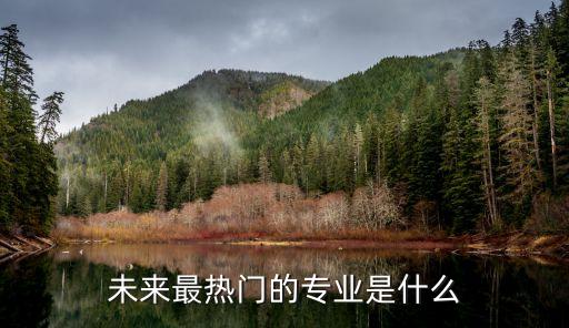 未來最熱門的專業(yè)是什么