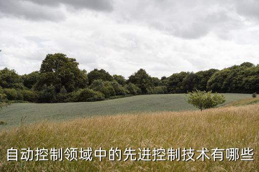 自動(dòng)化領(lǐng)域的前沿技術(shù)有哪些方面，自動(dòng)化專(zhuān)業(yè)目前科研中有哪些前沿性問(wèn)題