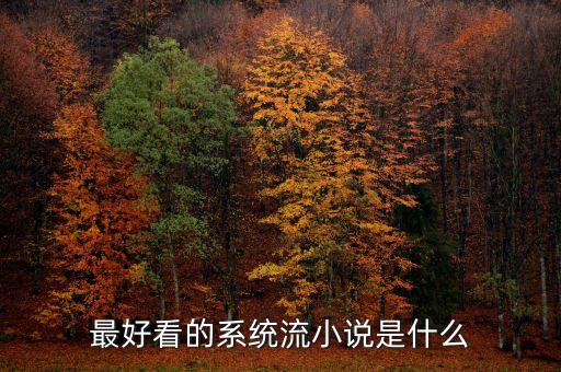 最好看的系統(tǒng)流小說(shuō)是什么