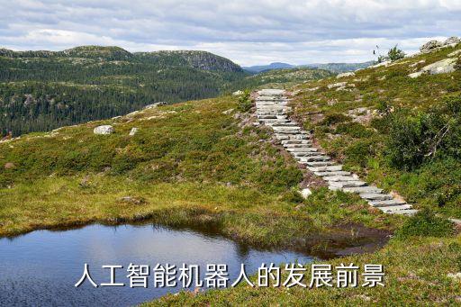 人工智能機(jī)器人的發(fā)展前景