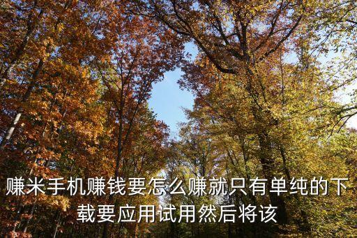 賺米手機(jī)賺錢要怎么賺就只有單純的下載要應(yīng)用試用然后將該