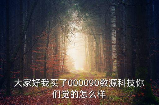 大家好我買了000090數(shù)源科技你們覺的怎么樣
