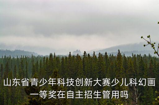 獲得全國一等獎科幻畫，科學(xué)幻想畫畫什么