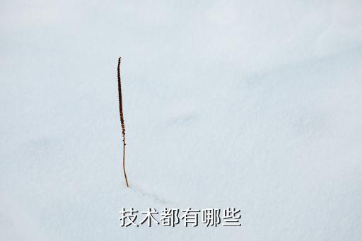 技術(shù)有哪些，技術(shù)都包括哪些