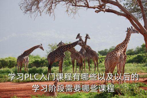 學(xué)習(xí)PLC入門課程有哪些以及以后的學(xué)習(xí)階段需要哪些課程