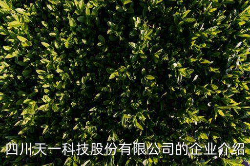 四川天一科技股份有限公司的企業(yè)介紹