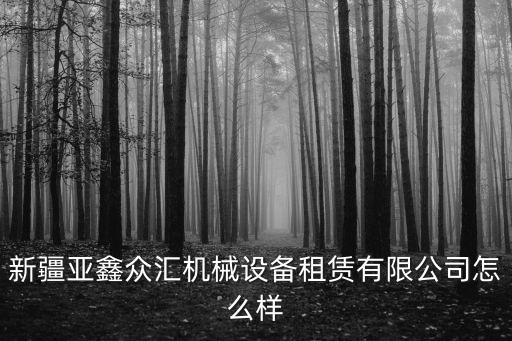 大型機(jī)械設(shè)備租賃公司，工程機(jī)械租賃哪家最好