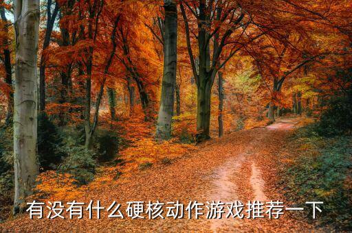 有沒有什么硬核動作游戲推薦一下