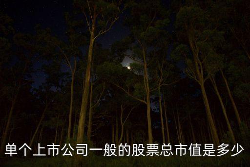 單個(gè)上市公司一般的股票總市值是多少