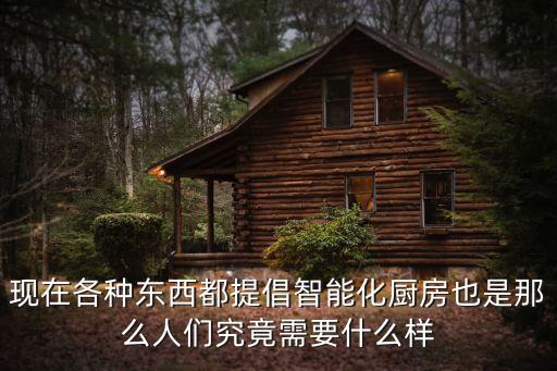 現(xiàn)在各種東西都提倡智能化廚房也是那么人們究竟需要什么樣