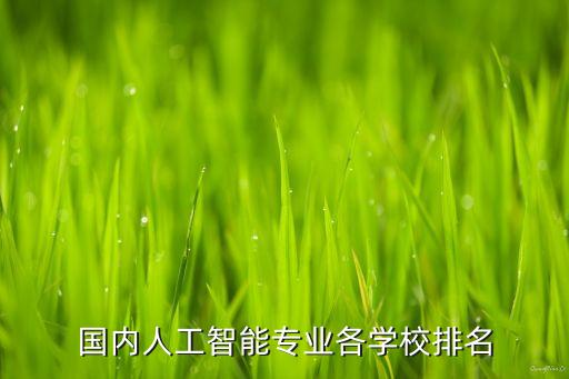 國(guó)內(nèi)人工智能專業(yè)各學(xué)校排名