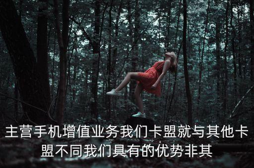 主營手機增值業(yè)務(wù)我們卡盟就與其他卡盟不同我們具有的優(yōu)勢非其