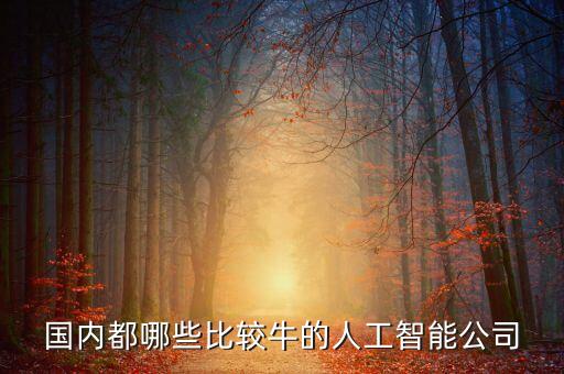 四川人工智能公司排名，國內(nèi)都哪些比較牛的人工智能公司