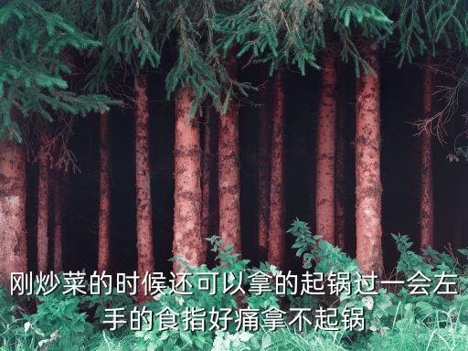 剛炒菜的時候還可以拿的起鍋過一會左手的食指好痛拿不起鍋