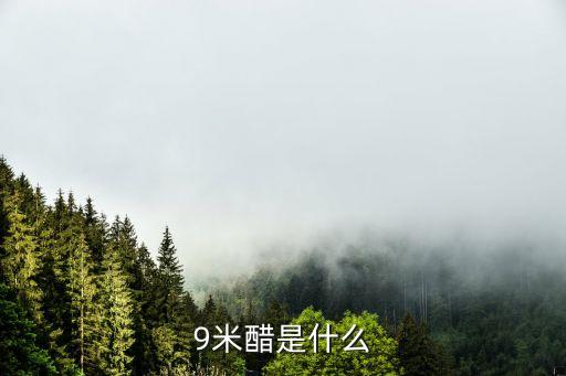 9米醋是什么