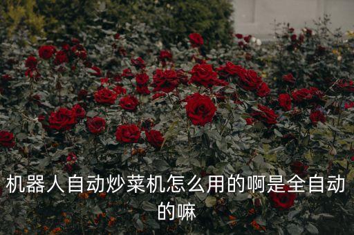 機(jī)器人自動(dòng)炒菜機(jī)怎么用的啊是全自動(dòng)的嘛
