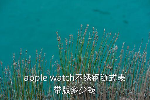 apple watch不銹鋼鏈?zhǔn)奖韼О娑嗌馘X