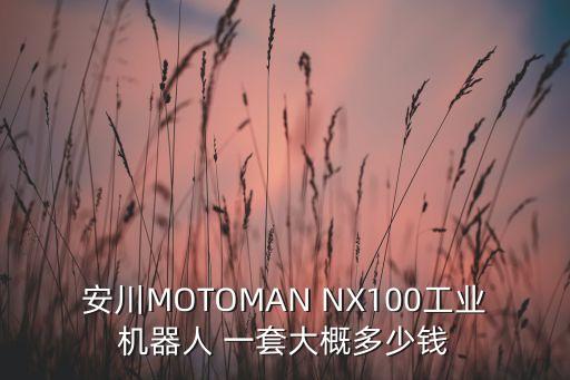 安川工業(yè)機(jī)器人價(jià)格表，安川MOTOMAN NX100工業(yè)機(jī)器人 一套大概多少錢