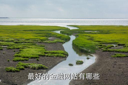 金融數(shù)據(jù)最全的網(wǎng)站，金融數(shù)據(jù)最全的網(wǎng)站是哪個