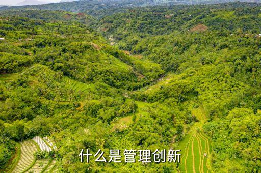 什么是管理創(chuàng)新