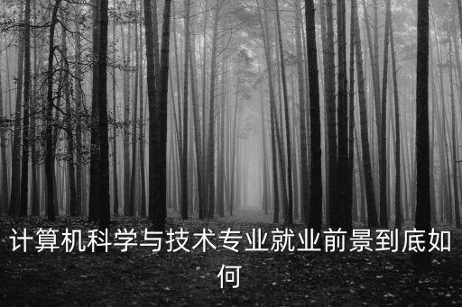 計算機(jī)科學(xué)與技術(shù)專業(yè)就業(yè)前景到底如何