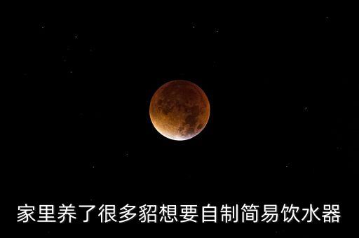 家里養(yǎng)了很多貂想要自制簡易飲水器