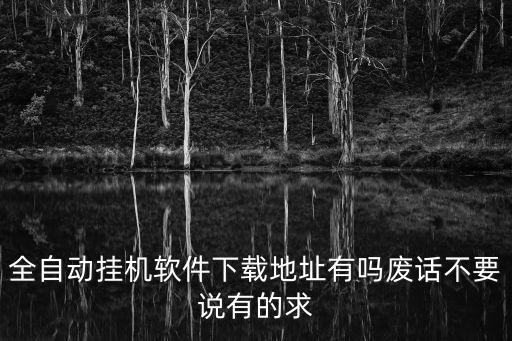 全自動(dòng)掛機(jī)軟件下載地址有嗎廢話不要說有的求