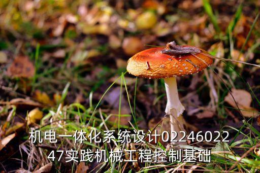 機(jī)電一體化系統(tǒng)設(shè)計(jì)0224602247實(shí)踐機(jī)械工程控制基礎(chǔ)