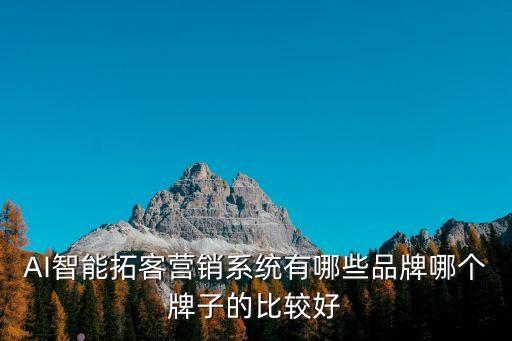 拓客營銷公司，AI智能拓客營銷系統(tǒng)有哪些品牌哪個牌子的比較好