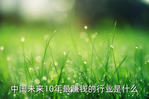 中國(guó)未來最賺錢的行業(yè)，中國(guó)未來幾年什么行業(yè)最賺錢