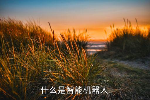 什么是智能機(jī)器人
