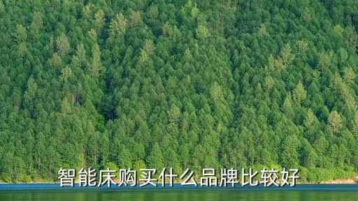 智能床購買什么品牌比較好