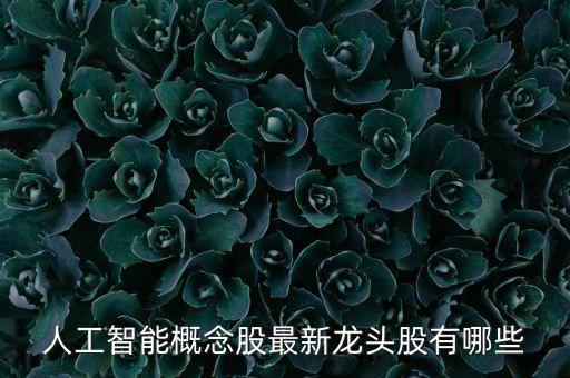 人工智能ai股票龍頭股有哪些，人工智能龍頭股有哪些