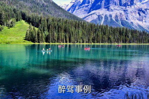 危險駕駛案例，請問危險駕駛罪判決案例