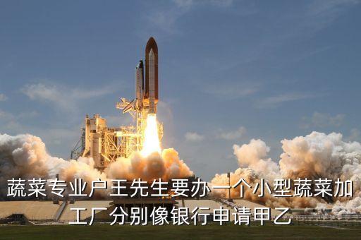 小型蔬菜加工廠，在水果蔬菜批發(fā)市場(chǎng)邊上適合開什么小型加工廠