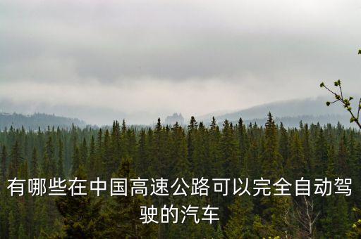 有哪些在中國高速公路可以完全自動(dòng)駕駛的汽車