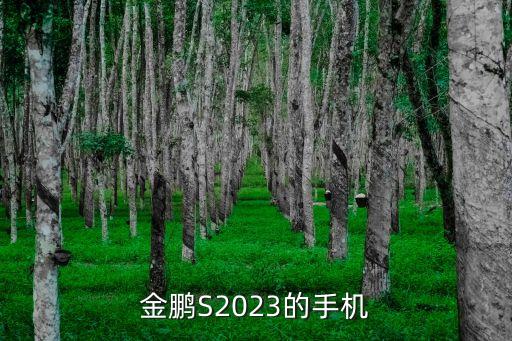 金鵬S2023的手機