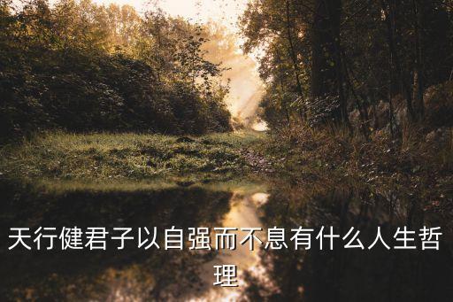 天行健君子以自強而不息有什么人生哲理